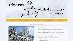 Vorschaubild www.igong-und-heilpflanzen.de